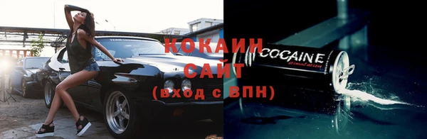 эйфоретик Богданович