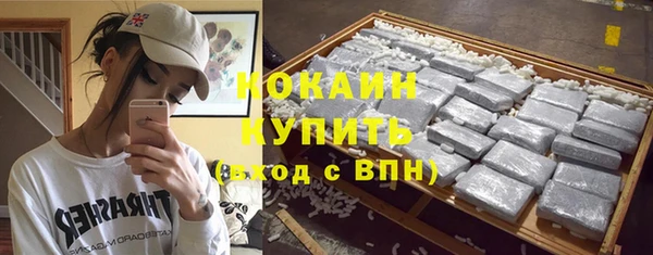 эйфоретик Богданович