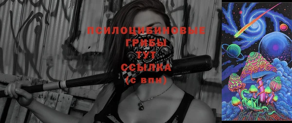 эйфоретик Богданович