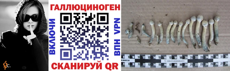 blacksprut зеркало  Славгород  нарко площадка официальный сайт  Псилоцибиновые грибы мухоморы 